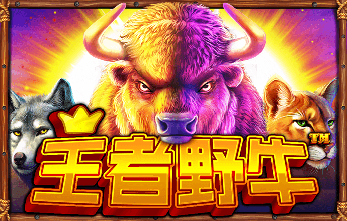 k1体育app登录平台在线